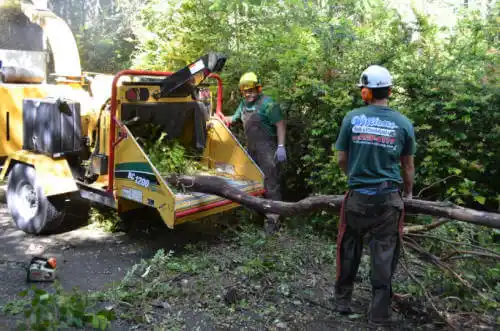 tree services Remerton